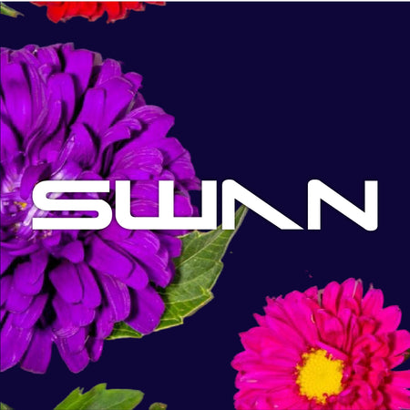 SWAN