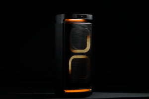 PARLANTE SWAN SW-10D28