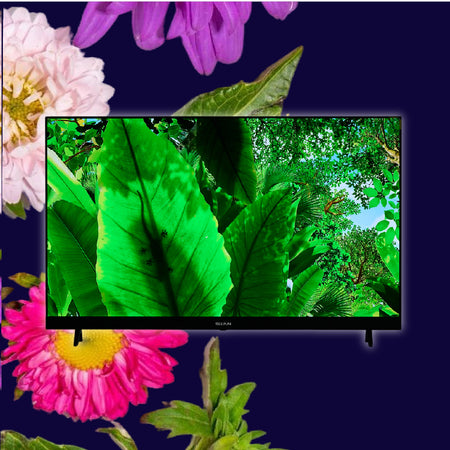 Televisores