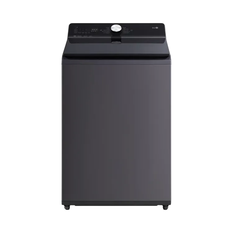 Lavadora LG 23Kg Gris Grafito AIDD EasyUnload - WT23EGTX6.AEGECOL